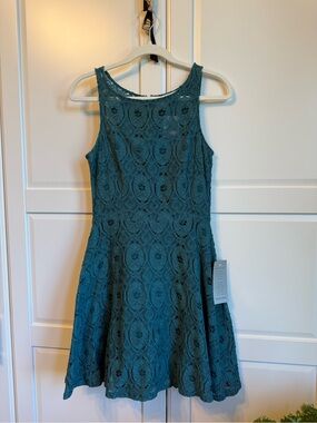 Renley Lace Fit and Flare Dress